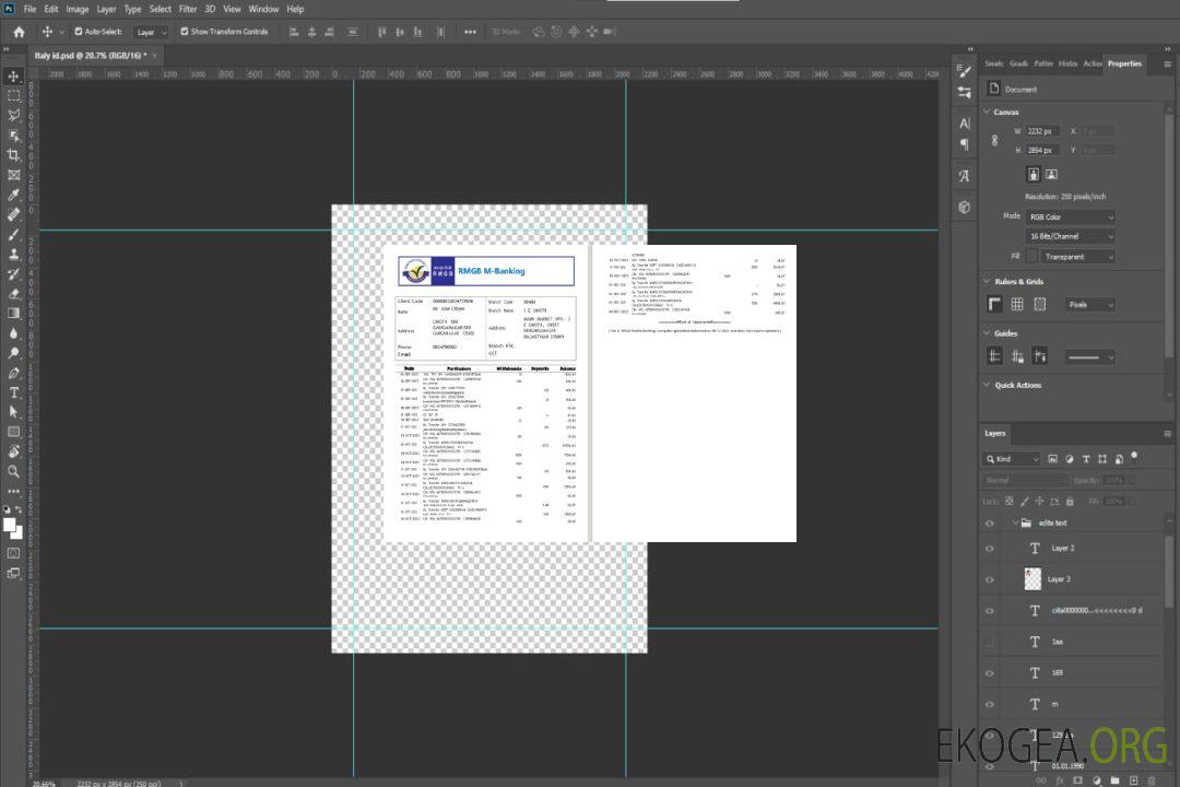 Modèle Word et PDF de relevé bancaire RMGB en Inde, 2 pages scr template Modèle Word et PDF de relevé bancaire RMGB en Inde, 2 pages scr template